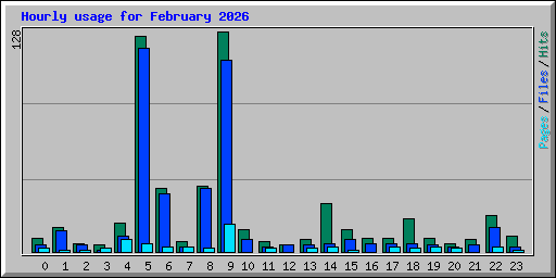 Hourly usage for February 2026